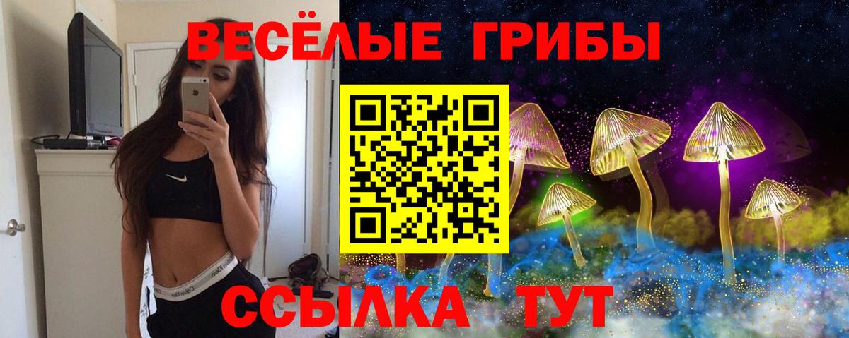 Александров  сколько стоит  Вход с VPN  Галлюциногенные грибы MAGIC MUSHROOMS  Галлюциногенные грибы GOLDEN TEACHER 