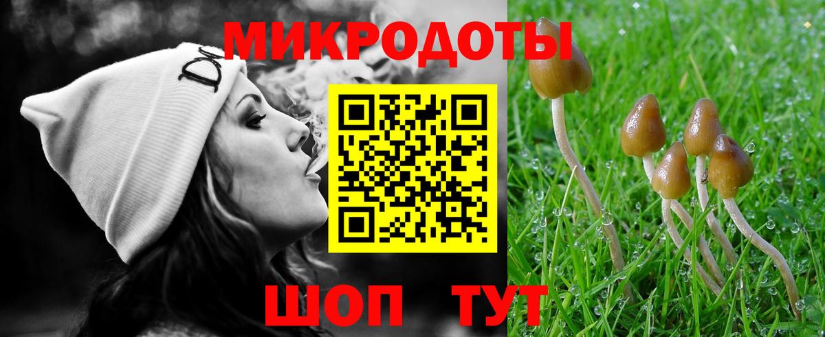 Псилоцибиновые грибы Cubensis Александров